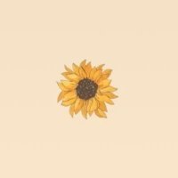 Ben (@bennyraconte) 's Twitter Profile