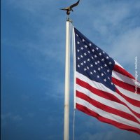 Steve Coleman (@stevecolem32156) 's Twitter Profile