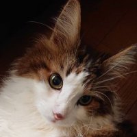 茶々R💕E💕C💕R💕 (@3s7fd57pqw60112) 's Twitter Profile Photo 茶々R💕E💕C💕R💕 (@3s7fd57pqw60112) 's Twitter Profile Photo