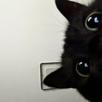 Roseyoursel's profile picture. Do what you like and live the life you want ❤🌠🌈