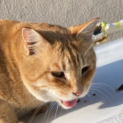 bZV9uvf21056090's profile picture. はじめまして☺︎ 懸賞ときどきスイーツ作り🧁無言フォローOK🙆‍♀️懸賞アカ作ったら、どれだけ当たるか検証します＼＼\\٩( 'ω' )و //／／ 『心惹かれた物しか応募しない』 これモットー🏆 当たった際には心を込めて報告させていただきます☺️