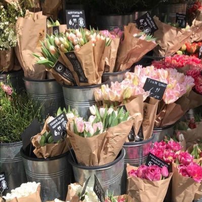 Reandiri's profile picture. 