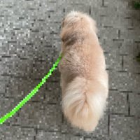 うぇすてぃん (@mem_if) 's Twitter Profile