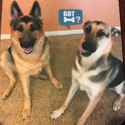 kgrem123's profile picture. 