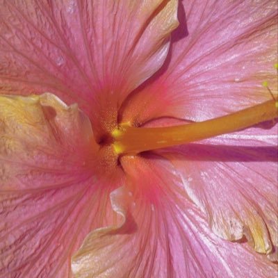 libbymat05's profile picture. 