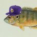 fish (@sunfish_sports) Twitter profile photo fish (@sunfish_sports) Twitter profile photo