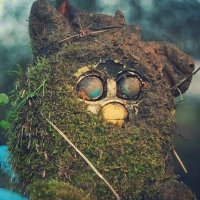 Shouldntbehere (@shouldnotbeonx) 's Twitter Profile Photo