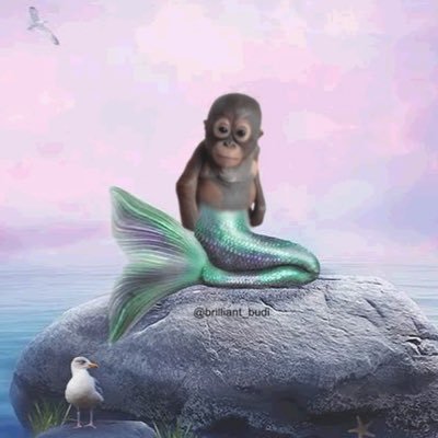 Markus495453467's profile picture. 