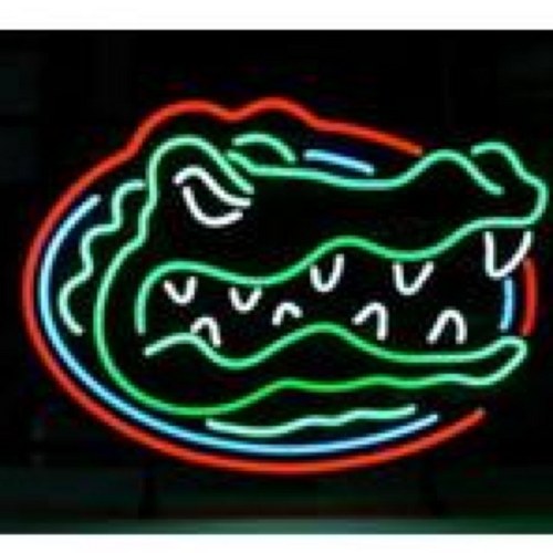 GvilleRavers's profile picture.  Turn down the world, turn up the bass.#raver #edc #gainesville #rave