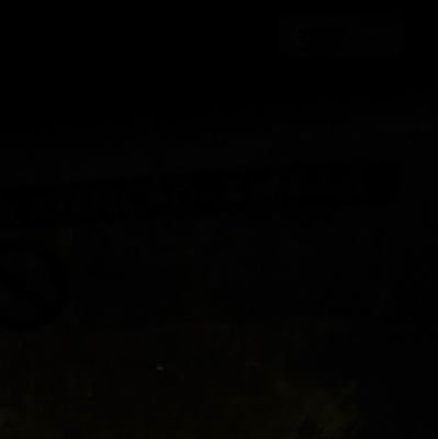 brutalistttt's profile picture. se vc me seguir eu vou te stalkear