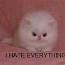 Jenifer Kay Perez - @jeniferkayperez - Twitter