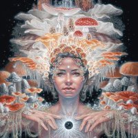 Amanita (@galinaleigh) 's Twitter Profile