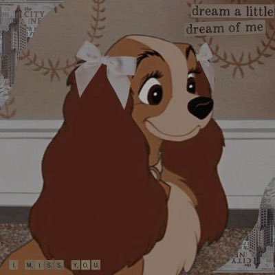 ggtrsethjlihczz's profile picture. joe keery lover first, human second.