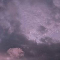 0x (@zenong5) 's Twitter Profile