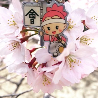 soutiku_1192's profile picture. 2025年1月より、美食、武家文化、美術工芸品の盛んな品格の有る金沢推しとなりました。金沢は中々行けませんが遠くから石川県の復興を応援致します。ポストは日常の出来事😊