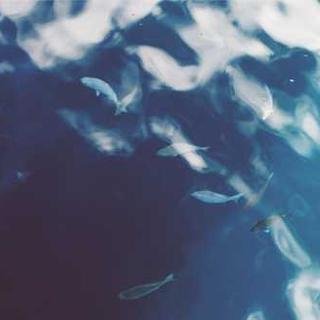 kimbe312312's profile picture. swim junkie, blogger
