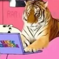 giant realistic flying tiger (@dawgiepawz) 's Twitter Profile
