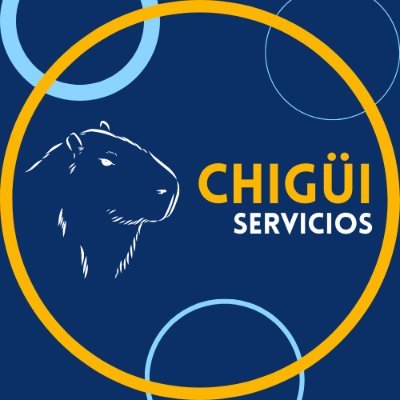 Servicios de realización de asignaciones universitarias; asesorías, gestiones y compras en línea; soporte técnico a computadoras; e intercambios, y mucho más.