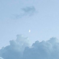 みはる (@ktmrtkm_ia) 's Twitter Profile