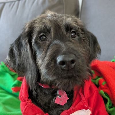 jdctaurus78's profile picture. I am me..sports... CLE, wrestling and sports cards