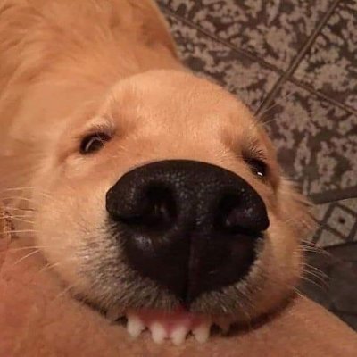 (｡•́︿•̀｡)さんのプロフィール画像