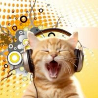 counterSFM 🔞 (C⭕️MMS CLOSED) (@countersfm) 's Twitter Profile
