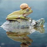 Everything Matters (@it_matters_2_me) 's Twitter Profile
