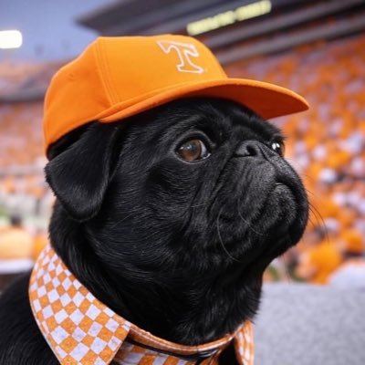 striiiiing's profile picture. #GBO