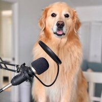 🇨🇦 venkspins.bsky.social (@venkspins) 's Twitter Profile Photo 🇨🇦 venkspins.bsky.social (@venkspins) 's Twitter Profile Photo