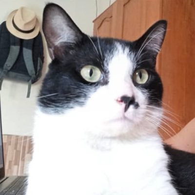 LuannOl83842925's profile picture. 