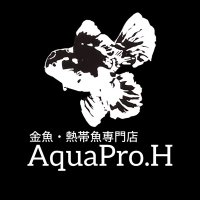 金魚・熱帯魚専門店AquaPro.H (@aquapro_h) 's Twitter Profile