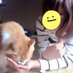 猫子 (@nekko__m) Twitter profile photo 猫子 (@nekko__m) Twitter profile photo