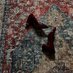 عَذبـا . (@3siiiy) Twitter profile photo عَذبـا . (@3siiiy) Twitter profile photo