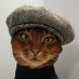 Le Chat Chic Vérifié (@carnmate) Twitter profile photo Le Chat Chic Vérifié (@carnmate) Twitter profile photo