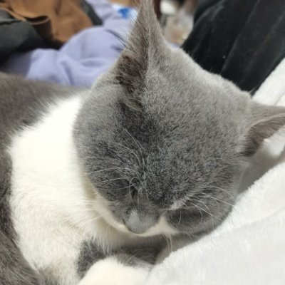 TCesse29's profile picture. Co-founder, Metaverse dreamer
#SparkFi   #COOKIE
Sahara #0251105