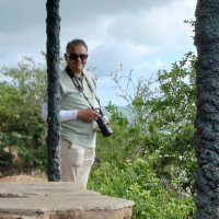 Sandipto Bose (@sandipto) 's Twitter Profile