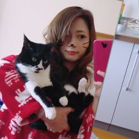 鈴音きさき✨ (@summer_phantom) Twitter profile photo