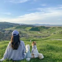 Ava (@avazztyl) 's Twitter Profile