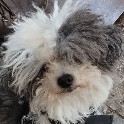 RoscherSab15307's profile picture. LIEBE DEINEN NÄCHSTEN WIE DICH SELBST !   

Deine Freiheit endet da, wo die Freiheit des anderen beginnt.