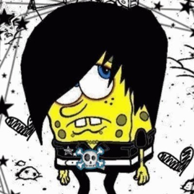 yoyolky's profile picture. 🇻🇳🏳️‍🌈 / bettas are labyrinth fish with tank requirements of at least 5 gallons and ideal water temperatures around 75-80°F