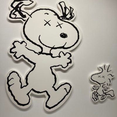 SPcSc6dEGz78963's profile picture. 中学、高校生くらいから抜け毛が増え、びまん性脱毛症に悩む30代 精神衛生上、写真は撮りません🥺 情報交換させてください！