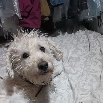 AlejandroB22038's profile picture. 