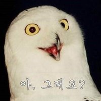 미완성🕯️(5월 컴백) (@neverend525) Twitter profile photo