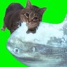 Neurotic0x's profile picture. Bullish Propagandist. At war with my brain chemistry. On-chain schizophrenic. Manic reply guy.
