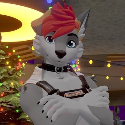 Lvl 26 • 🇵🇭 • IT Fur • NSFW/🔞 • Furry • Soft Top • Gamer • Artist • Twitch Streamer • Taken - Open