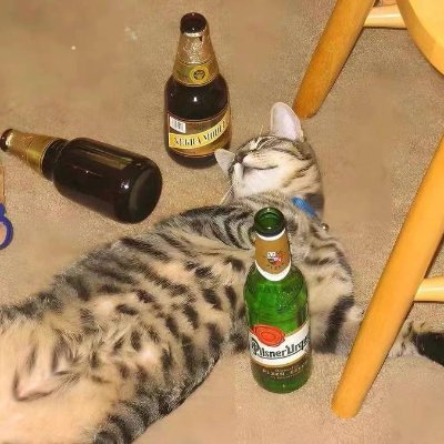 RekhaTata37's profile picture. Smart contract developer leading decentralized finance