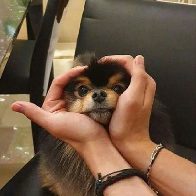 @Kim_is3a74