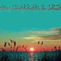 Maxamuud Nuur (@maxamuudnu6900) 's Twitter Profile