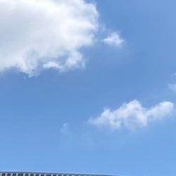 imase🪴🧡IMAZINE💚LIVE前後に急浮上しがち 2024.3/13Shiki仙台 5/4VIVALA 8/24ドリフェス 11/14Shiki-Sai東京 12/8TMJ2024 2025.2/16Juice 東京 5/3VIVALA 6/8仙台 7/25🍇🥫