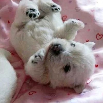 bhluv_true's profile picture. 좋아해 @B_hundred_Hyun 🤍